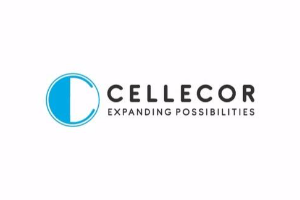 Celessor